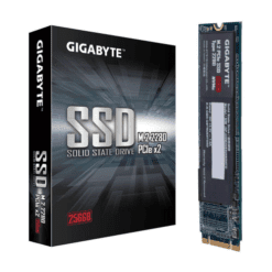Gigabyte M.2 256GB SSD Hard Drive Price In India